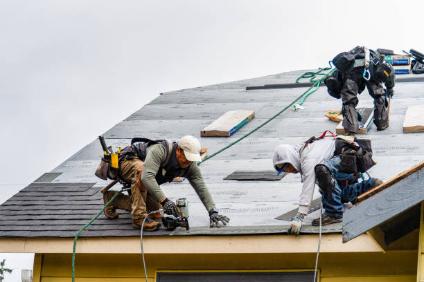 Professional Gutter Installation technician working in Pleasant Ridge, MI